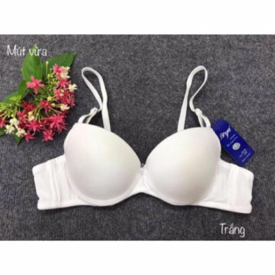 ÁO NGỰC TRƠN MÚT ÉP VỪA MS T024