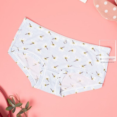Bộ 10 Quần Lót Nữ Su Họa Tiết - Chất Vải Mềm Mịn Dịu Nhẹ Cho Da (dành cho nàng từ 40-55kg)
