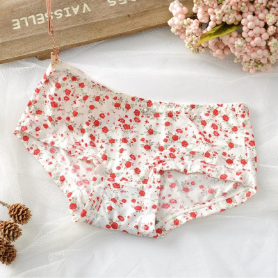 COMBO 10 QUẦN SU ĐÚC LẠNH HỌA TIẾT LƯNG THẤP