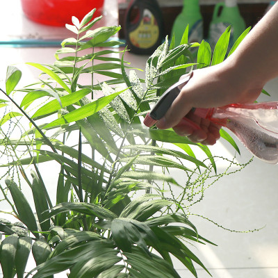 Bình Xịt Nước/Bình Xịt Tưới Cây Bằng Nhựa PET Bình Xịt Nước Tạo Mẫu Tóc - (Ngẫu Nhiên)