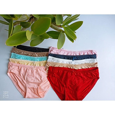 Set 10 quần lót nữ chất liệu cotton ren giữa nhiều màu - Hàng Việt Nam(Từ 35kg đến 65kg)