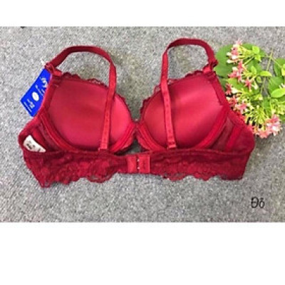 ÁO NGỰC REN MÚT ÉP VỪA-029L