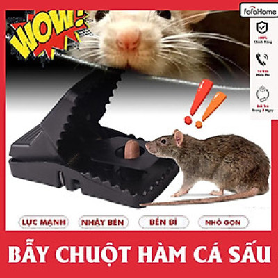 Bẫy Chuột Thông Minh Hàm Cá Sấu, Bẫy Được Các Loại Chuột Nhỏ Và Vừa