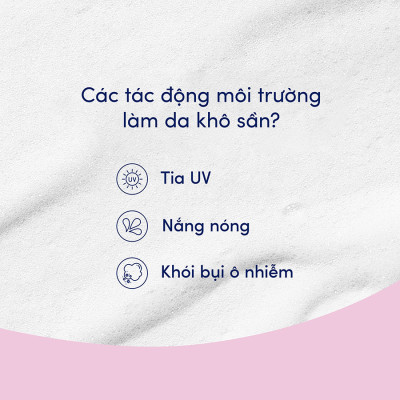 Sữa Tắm Serum Dove Pro-Ceramide Hoa Sakura và Muối Hồng Giúp Da Đàn Hồi Và Căng Bóng 500g