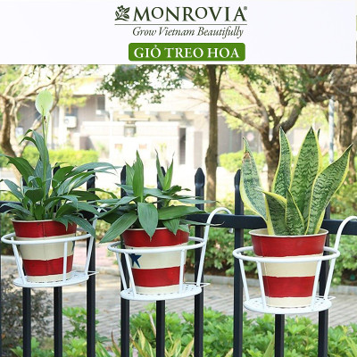  Combo 3 Giỏ treo chậu hoa ban công MONROVIA, giỏ sắt treo chậu hoa ban công, chậu treo ban công, kệ treo ban công, móc treo, khung thép, sơn tĩnh điện chính hãng thương hiệu MONROVIA  - Màu Trắng