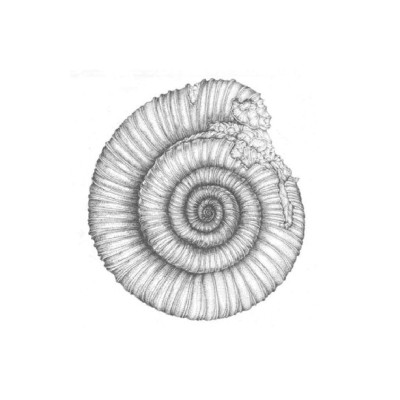 Chúng Ta Làm Gì Với Trái Đất?