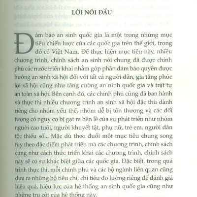 Những Vấn Đề Chung Trong Xây Dựng Bộ Chỉ Số An Sinh Quốc Gia (Sách Chuyên Khảo)