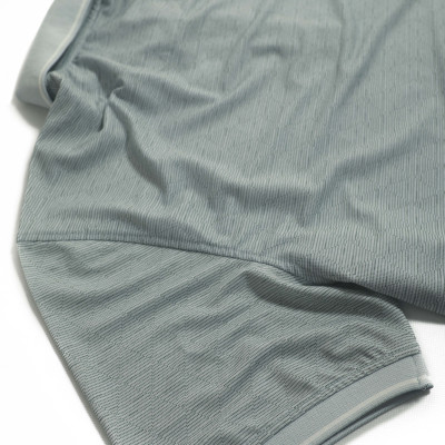 Áo Polo nam Novelty Regular fit NATMINMCLR210085N