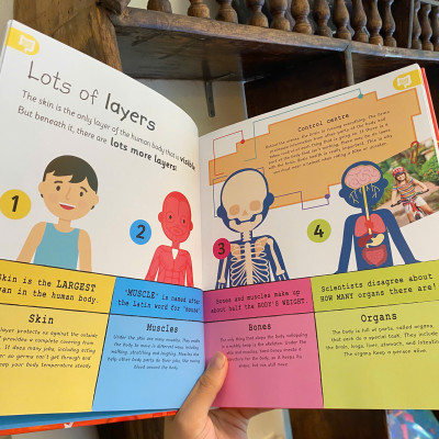 Sách - My Very Important Human Body Encyclopedia - DK Children English Book / Ngoại văn Nhập khẩu