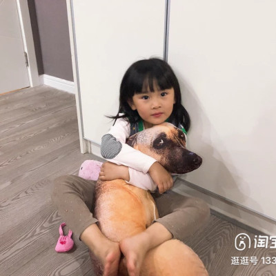 Gấu bông con chó liếc 3D hài hước ship HOẢ TỐC HCM gấu hình chó thật nhồi bông 20cm 50cm 70cm 90cm giá rẻ