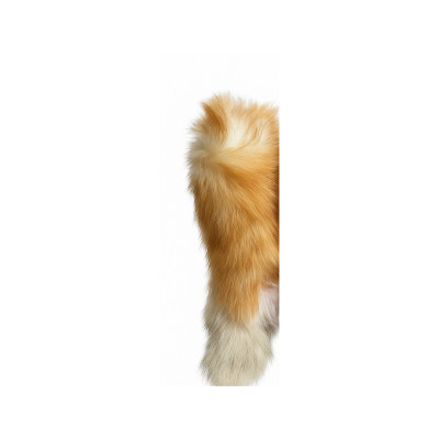 Combo Phụ kiện thời trang Đuôi cosplay cáo Xù Đẹp nhân tạo Cosplay + nơ cổ + kẹp tóc (Halloween / Lễ hội / Trang phục hóa trang)