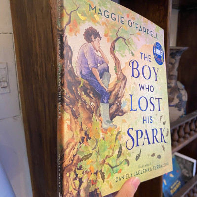 Sách - The Boy Who Lost His Spark by Maggie O
