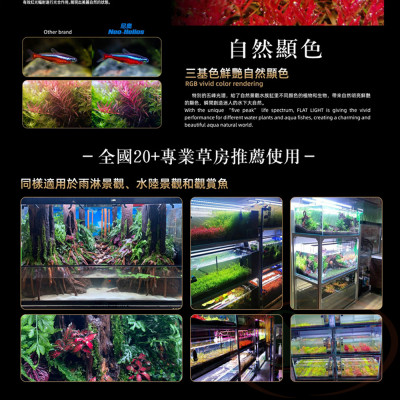 Đèn led Neo Helios Flat Solar XP series quang phổ RGB 3in1 bể cá tép thủy sinh cảnh