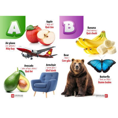 Sách - Từ Điển Bằng Tranh - Hoa, Quả, Rau Củ - Chữ Cái Và Số Đếm - Phương Tiện Giao Thông (bộ 3 cuốn Bìa cứng)