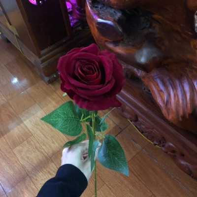 Set 20 cành hoa hồng nhung giả - dài 60cm - Hàng loại 1 - Cây giả, hoa lụa Decor trang trí nhà cửa