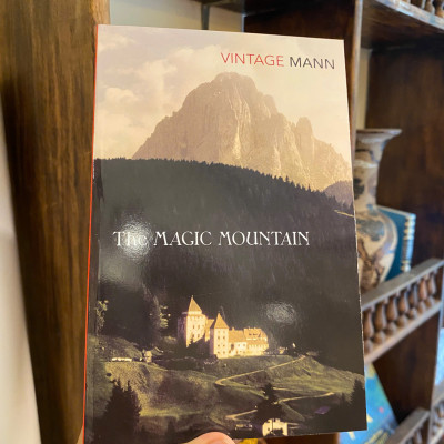 Sách - The Magic Mountain by Thomas Mann | Fiction / Classics / German Literature / Sách Ngoại văn