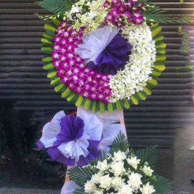 Hoa Chia Buồn - tím tiếc thương