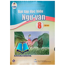 Sách - Bài tập đọc hiểu ngữ văn 8 - tập 2 ( cánh diều )