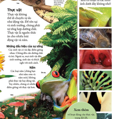 Bách Khoa Cho Trẻ Em - Bách Khoa Khoa Học