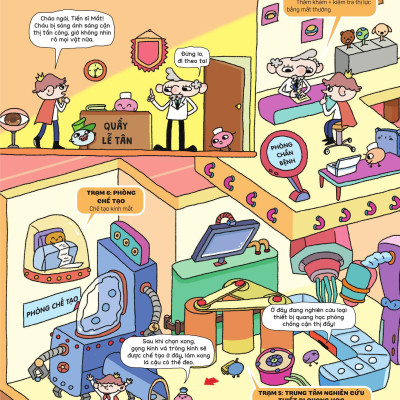 Sách - Bí Mật Đôi Mắt - Các Loại Mắt Kính