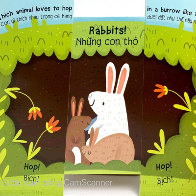 Animals - Các Loài Động Vật