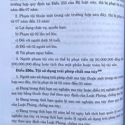 Bộ Luật Hình Sự, Bộ Luật Tố Tụng Hình Sự ( Sửa Đổi, Bổ Sung Năm 2025 )