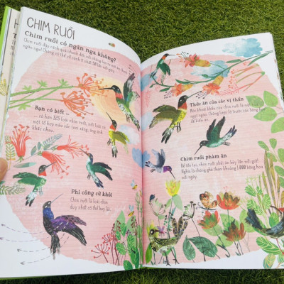 A LÊ HẤP! - THẾ GIỚI CHIM - ĐÔNG A - BẢN CỨNG IN MÀU TOÀN BỘ -