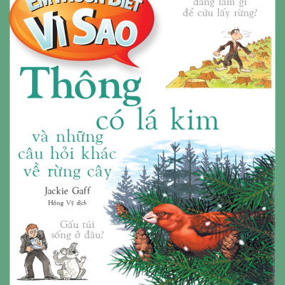  Em muốn biết vì sao (Bộ mới) - Thông có lá kim và những câu hỏi khác về rừng cây