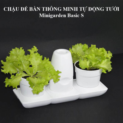 Chậu trồng rau sạch tự động tưới nước và tự chăm sóc rau tại nhà trong 2 tháng Minigarden Basic S (1 bộ gồm 2 chậu S, 1 khay hứng nước, 1 bình chứa nước và phân)