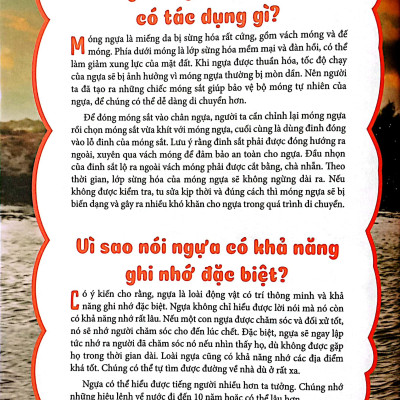 10 Vạn Câu Hỏi Vì Sao - Động Vật Quanh Ta