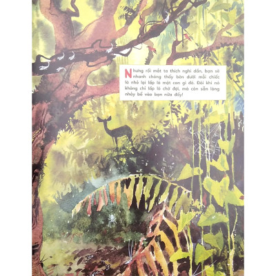 Sinh Vật Học Kỳ Thú - Những Cư Dân Tí Hon Của Rừng Việt Nam