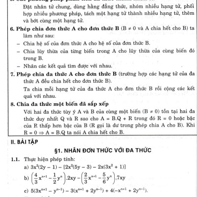 Toán Thông Minh Và Phát Triển 8 (Dùng Chung Cho Các Bộ SGK Hiện Hành) - HA
