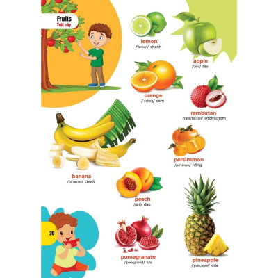 Sách - Combo Truyện đọc cho bé trước giờ đi ngủ + Bách khoa hình ảnh đầu tiên cho bé dành cho bé 0-6 tuổi