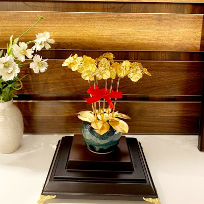 Chậu Hoa Lan 6 Nhánh Dát Vàng 24k MT Gold Art(30x23x17cm)- Hàng Chính Hãng- Quà tặng cao cấp, ý nghĩa tặng sếp, khách hàng, đối tác nhân dịp sinh nhật, khai trương, tân gia, kỷ niệm thành lập