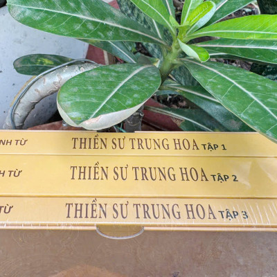Thiền sư Trung Hoa - Thích Thanh Từ - (BỘ 3 TẬP)