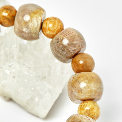 Vòng Chuỗi Mân Côi San Hô Hóa Thạch hạt đá 12mm, ni 50 - Ngọc Qúy Gemstones