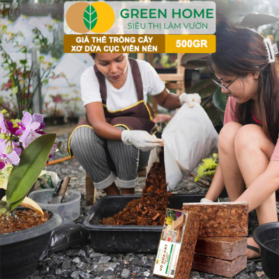 Xơ Dừa Cục Greenhome, Viên 500gr, Sơ Dừa Nén, Nở Gấp 5 Lần, Kích Thích Rễ, Thoát Nước Tốt Giá Thể Kiểng Lá, Phong Lan