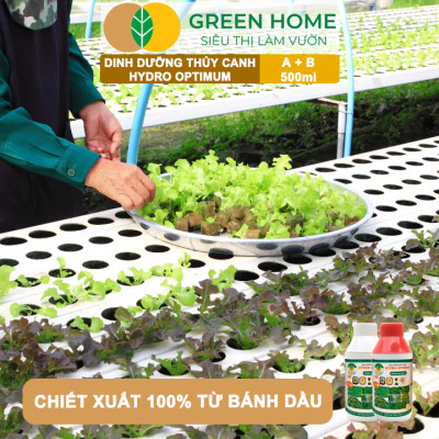 Dung Dịch Thủy Canh Hydro Optimum, GreenHome, Bộ 2 chai 500ml, Dinh Dưỡng Thủy Canh Rau Ăn Lá, Hữu Cơ