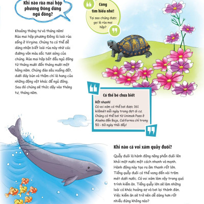 When? Bố Mẹ Ơi Khi Nào…? Những Câu Hỏi When Giúp Con Tò Mò Sáng Tạo?