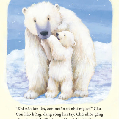 Sách - Big Bear Little Bear - Gấu Lớn Gấu Nhỏ - ndbooks