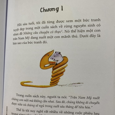 Hoàng tử bé ( Đinh Tị )