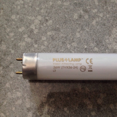 Bóng đèn PLuslamp 36W 
