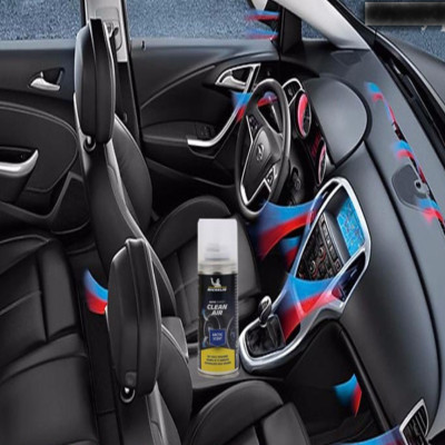 Chai xịt vệ sinh - khử mùi và khử trùng máy lạnh Michelin W31449