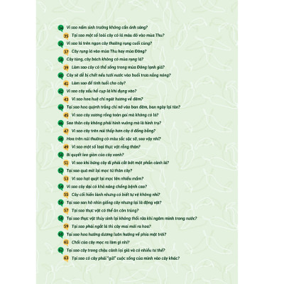 Hỏi Đáp Về Thế Giới