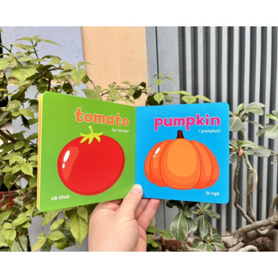 Sách - Bộ Bìa Cứng Thư Viện Hình Ảnh Đầu Tiên Cho Bé Về Thế Giới Xung Quanh Baby