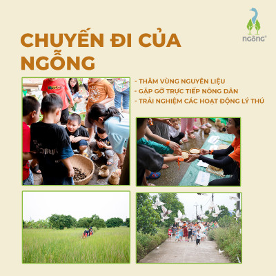 Gạo Ngỗng Sinh Thái ST25 Xát Trắng 3kg