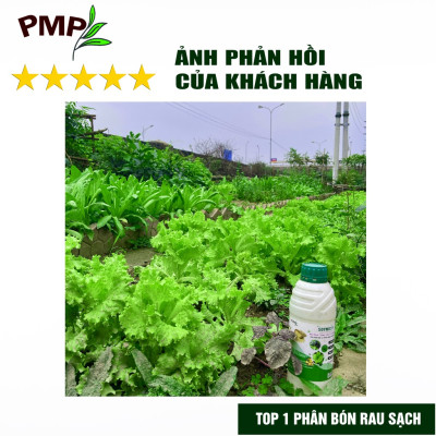 Combo 2 Chai Phân SOYMIC V PMP Siêu Phân Bón Ủ Vi Sinh Từ Đậu Nành, Trứng, Chuối, Humic, Vi Lượng Cho Rau Sạch