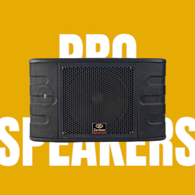 Loa Karaoke gia đình Zenbos QZ-5 Bass 25 cm, 3 đường tiếng(Hàng Chính Hãng)