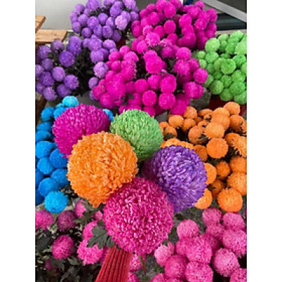 Bột nhuộm hoa tươi màu Hồng Sen nhập khẩu Hiệu Premium Color (1 hủ 10L đến 12L nước màu nhuộm hoa) an toàn và chuyên nghiệp tại shop hoa tươi