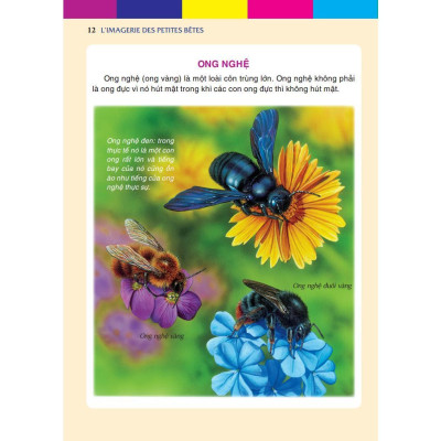 Sách - Những Con Vật Bé Nhỏ - Bìa Cứng - Minh Thắng